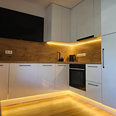 V93 * Паланга